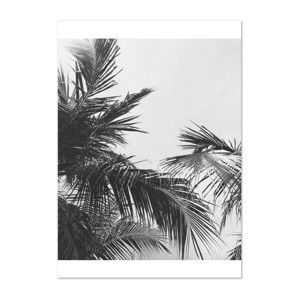 Plakát HF Living Botanic Palm, 50 x 70 cm