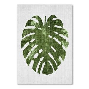 Plakát Tropical Leaf