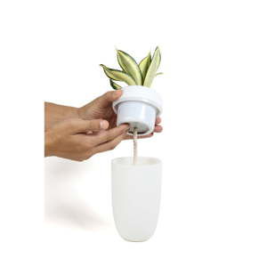 Bílý samozavlažovací květináč s možností instalace na zeď Qualy&CO Carepot