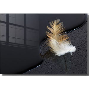 Skleněný obraz 70x50 cm Feather – Wallity