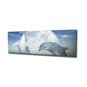 Nástěnný obraz na plátně Dolphins, 80 x 30 cm
