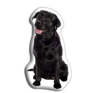 Polštářek s potiskem Černého labradora Adorable Cushions