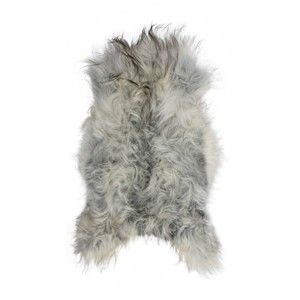 Světle šedá ovčí kožešina s dlouhým chlupem Arctic Fur Chesto, 90 x 50 cm