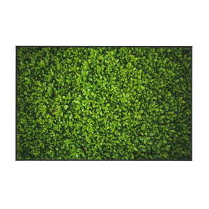 Zelený koberec Oyo home Ivy, 80 x 140 cm