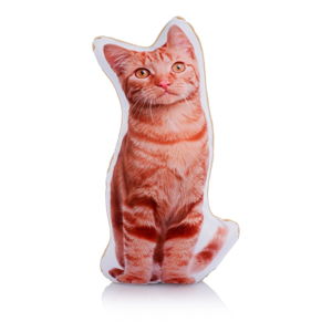 Polštářek s potiskem kočky Adorable Cushions Midi Ginger Cat