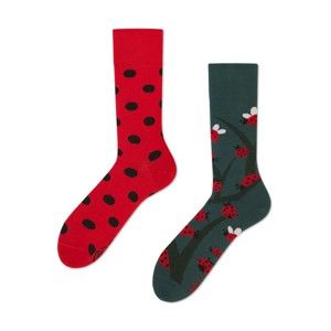 Ponožky Many Mornings Dots & Bugs, vel. 39–42