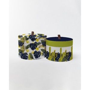 Kulaté úložné krabice Surdic Round Boxes Cactus and Monstera s motivem rostlin, 30 x 30 cm