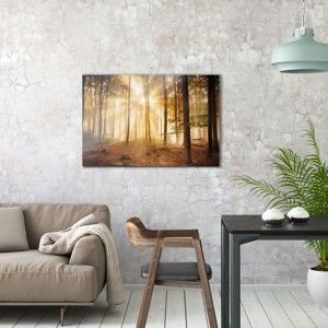 Skleněný obraz OrangeWallz Forest, 60 x 90 cm