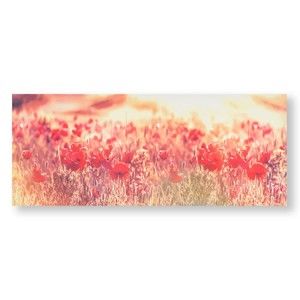 Obraz Graham & Brown Peaceful Poppy Fields, 100 x 40 cm