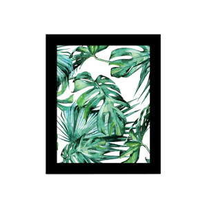 Obraz Alpyros Jungle, 23 x 28 cm