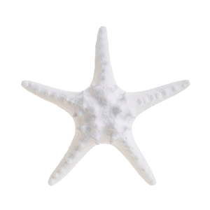 Bílá dekorace ve tvaru hvězdice InArt Sea, ⌀ 25 cm