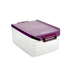 Transparentní úložný box s fialovým víčkem Ta-Tay, 4,5 l