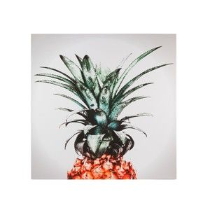 Nástěnný obraz SantiagoPons Plants Pineapple, 104 x 104 cm