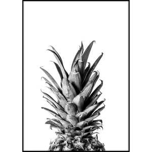 Plakát Imagioo Pineapple, 40 x 30 cm
