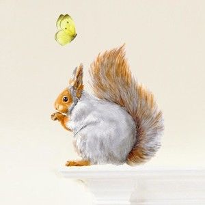 Znovu snímatelná samolepka Grey Squirrel, 32x30 cm
