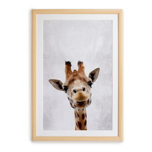 Nástěnný obraz v rámu Surdic Giraffe, 30 x 40 cm