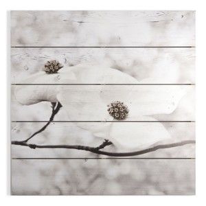 Dřevěný obraz Graham & Brown Serenity Blossoms, 60 x 60 cm