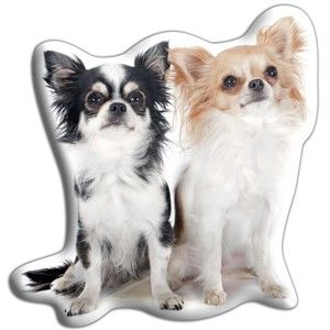 Polštářek s potiskem dvou Čivav Adorable Cushions