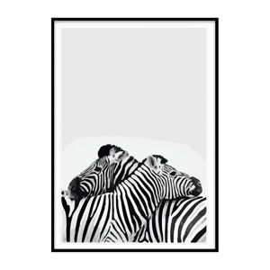 Plakát Piacenza Art Two Zebras, 33,5 x 23,5 cm