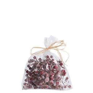 Pytlík dekorativních červených bobulí J-Line Berries