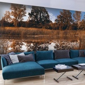 Velkoformátová tapeta Artgeist Autumn Reeds, 350 x 245 cm
