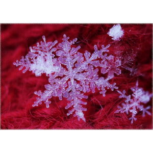 Koberec Vitaus Christmas Period Red Icy Snowflake, 50 x 80 cm