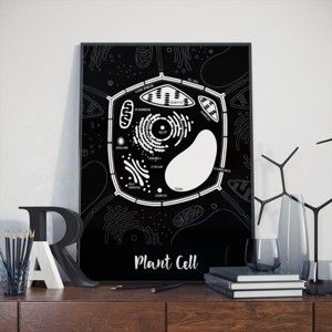 Černý plakát Follygraph Plant Cell, 30 x 40 cm