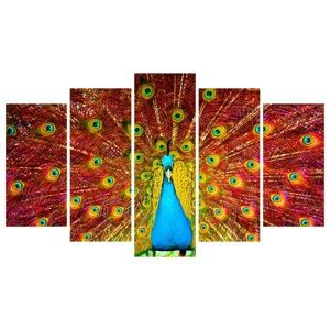 Vícedílný obraz na plátně Peacock