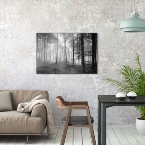 Skleněný obraz OrangeWallz Black Forest, 60 x 90 cm