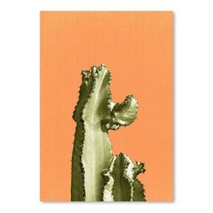 Plakát Cactus On Orange