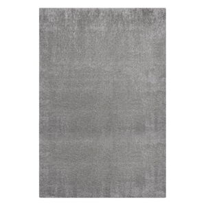 Šedý koberec z recyklovaných vláken 160x230 cm Velvet – Flair Rugs