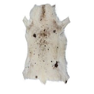 Šedá sobí kožešina Arctic Fur Gelo, 115 x 70 cm